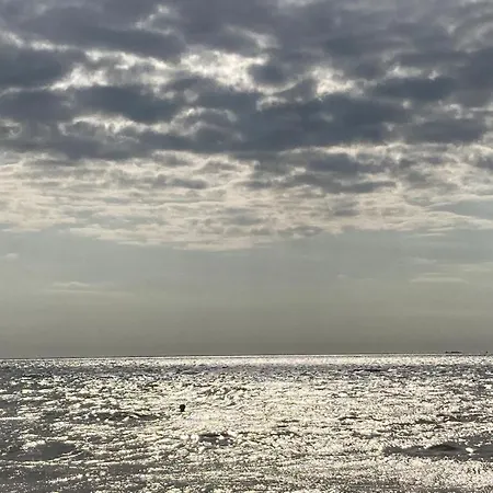 أون إن فيل 2*